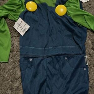 Luigi costume